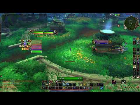 BM hunter 2v2 low lvl, 2.5k exp - WoW: Dragonflight 10.0.5