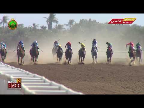 الشوط الثاني - السباق الثاني - الرحبة 25/10/2019 Race 2-2nd meeting