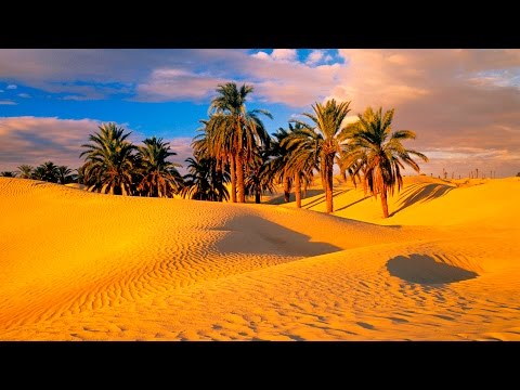 (Doku in HD) Oasen in Afrika