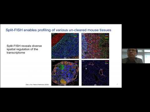 HCA Meeting Asia 2020: Co-current 3-1c - Highly specific multiplexed RNA imaging with split-FISH