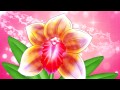 Shunga - Secret Garden 30 ml