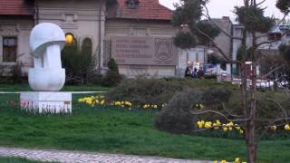 preview picture of video 'Municipiul Piteşti - oraşul Simfoniei Lalelelor'