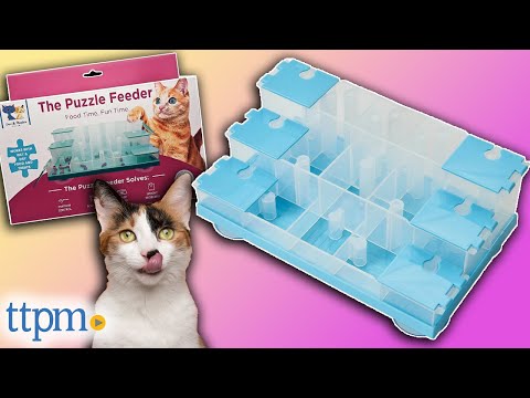 Cat Puzzle Feeder from Doc & Phoebe's Cat Co. Review!