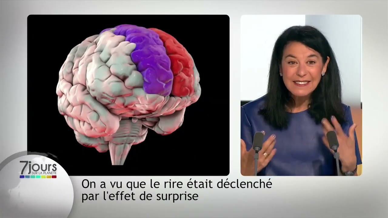Le rire, le cerveau et l'apprentissage | Sylvie Chokron