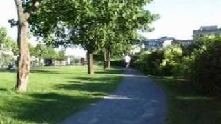 The Music by David Usher - Montreal fan vid