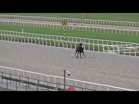 FAST-UNO(Brz)-REVISTA INVASOR