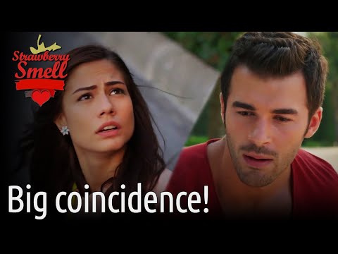 Big Coincidence! - Strawberry Smell (English Subtitles) | Cilek Kokusu