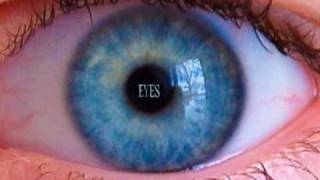 Treetops Dreamynd (Secret Machines-Lightning Blue Eyes-Ten Silver Drops)