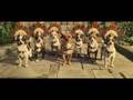 Крошка из Беверли-Хиллз / Beverly Hills Chihuahua 