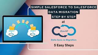 Simple Salesforce to Salesforce Data Migration Step by Step | 100% Salesforce Native App