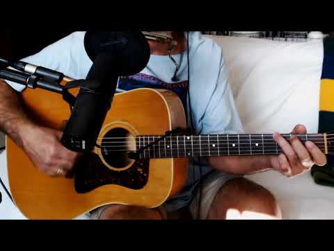 #303 Heart of Gold ~ Neil Young ~ Acoustic Cover w/ Guild D-30 & Bluesharp