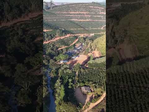 TRAGÉDIA EM IMBÉ DE MINAS: CARRO CAI DE BARRANCO E DEIXA CINCO MORTOS