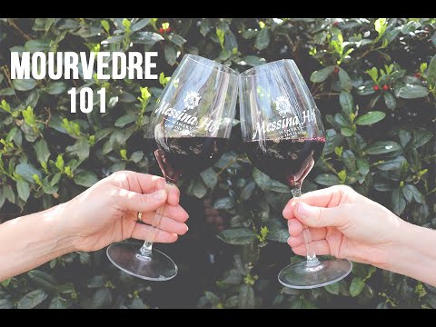Dr. B Talks Texas Wine: Mourvèdre