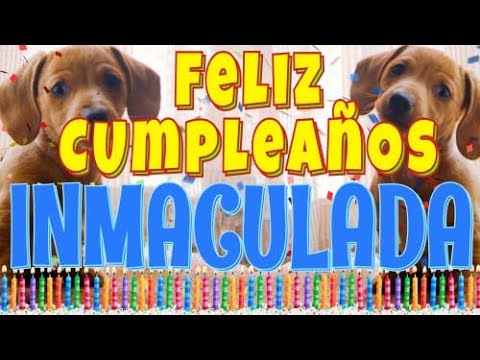 ¡Feliz Cumpleaños Inmaculada! (Perros hablando gracioso) ¡Muchas Felicidades Inmaculada!