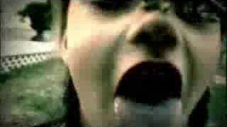 Did you ever wonder...  about everything?