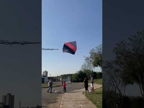 #rich kite kites broke in the air but it's very despicable #shorts