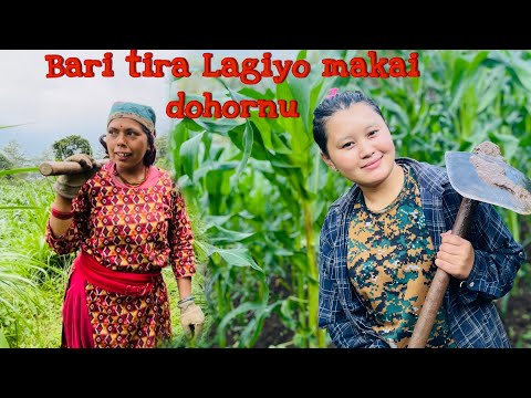 Yo Sal Ko Makai Dohornu Pani Sakiyo 🤗#vlog #villagelifestylevlog