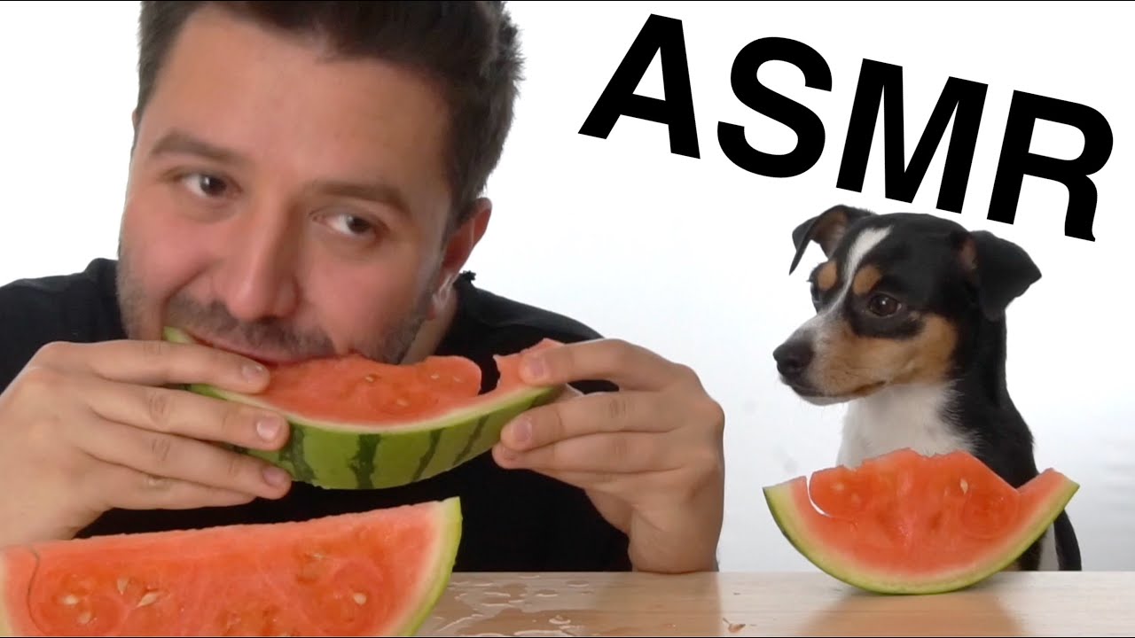ASMR WATERMELON EATING SOUNDS WITH DOG (NO TALKING)