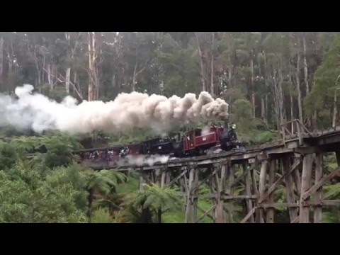 Puffing Billy Melbourne