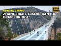 Zhangjiajie Grand Canyon Glass Bridge World Highest And Longest Glass Bridge 张家界大峡谷玻�
