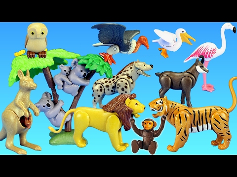Playmobil Wild Animals Toy Collection For Kids - Animals For Children