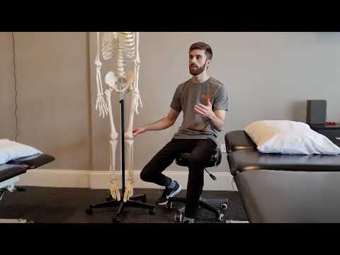 Biomechanical Insights: Knee