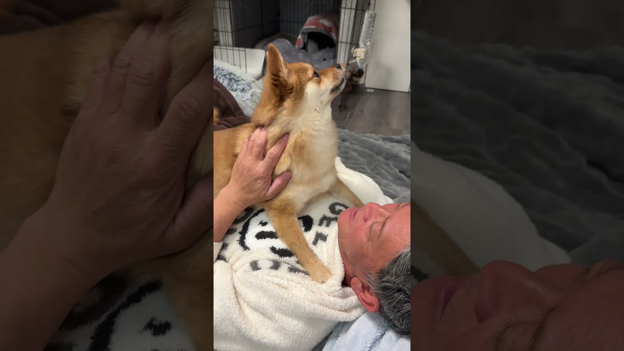 出汁💕#とんちゃん#ぺっぺこぺー