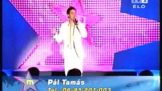 Pál Tamás - Can you feel the love tonight