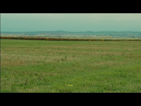 Bzerk - E.on (Official Music Video) (Feat. ToluShorts) 