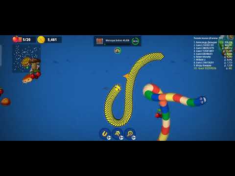 cacing pita Alaska makan rakus(2)