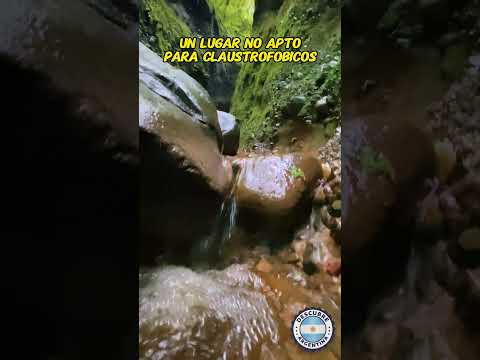 Claustrofobia en la selva 😲 Angosto de Jaire 💚 Jujuy 😍  #jujuy #argentine  #nature  #visitargentina