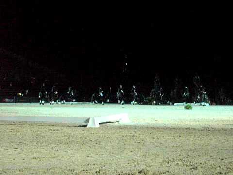 Friezentrein WEG Kentucky 2010