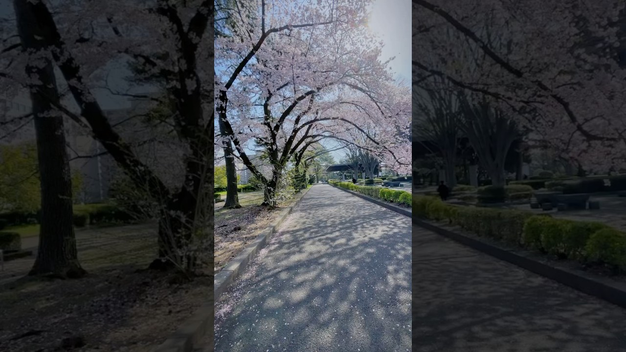 YouTube Short thumbnail