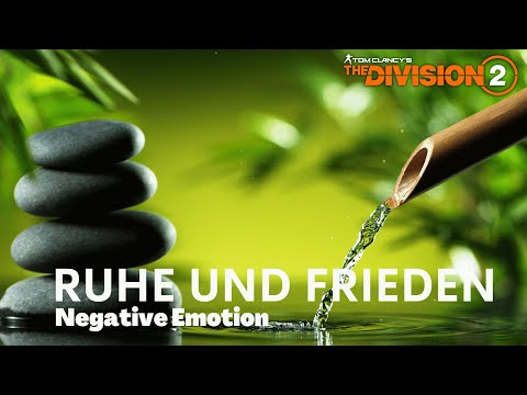 In der  🌿RUHE liegt die KRAFT 🌿| THE DIVISION 2 ☣️