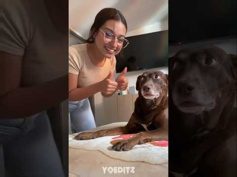 Shiny by easykid Trend 🤩🔥 #shiny #español #danceedit