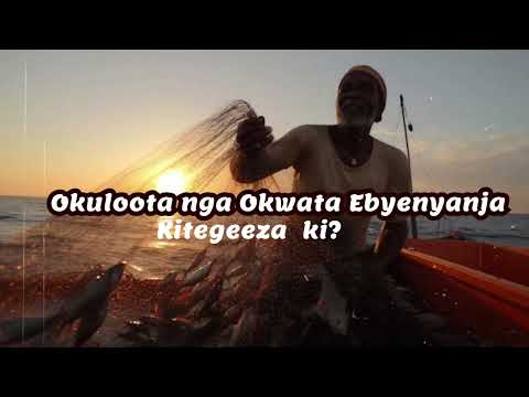 Okuloota nga okwata ebyenyanja (Dreaming of catching fish) Kitegeeza kki