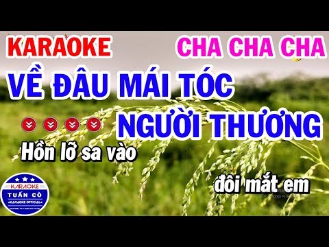 Karaoke Nhạc Sống Cha Cha Cha | Về Đâu Mái Tóc Người Thương Tone Nam