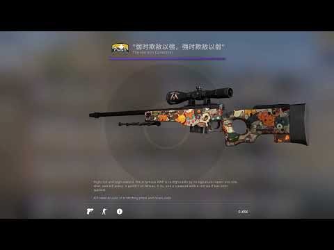 Steam Community :: Video :: CSGO | Paw pattern: 549