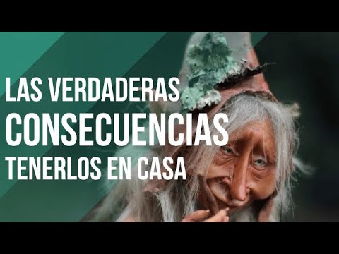 Is it GOOD to have GOBLIN FIGURES in the HOUSE? ✨ CHECK THIS OUT!