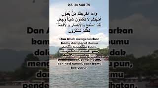 Download lagu Surat An Nahl 78: Agar Kamu Bersyukur #petikanayatalquran mp3