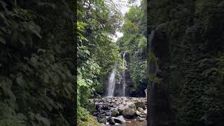 Download lagu Pesona Indonesia | Curug Ciampea - BOGOR #shorts mp3 Download lagu Pesona Indonesia | Curug Ciampea - BOGOR #shorts mp3