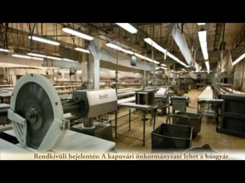 Rendkívüli bejelentés: A kapuvári önkormányzaté lehet a húsgyár