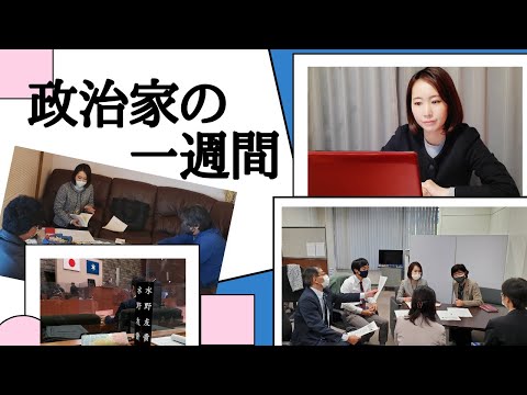 国際関係学科 政治家の一週間の活動をお伝えします！