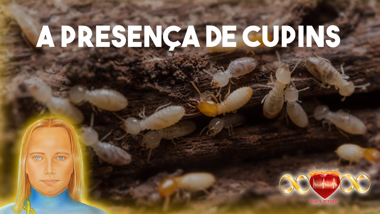 A Presença de Cupins! por Comandante Athom