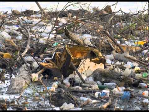 ONE WORLD ONE NATION