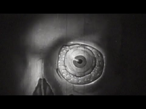 flora cash - we used to laugh / 9 to 9 (Visualizer)