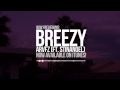 ARVFZ - Breezy (ft. StinaNoel) [Now Available on ...
