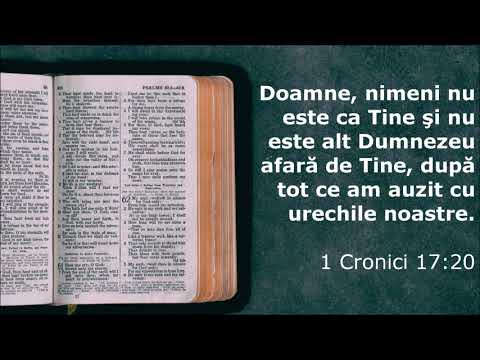 Marius Livanu - N-ai asemănare