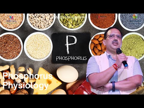 Phosphorus Physiology Explained: FGF23–PTH–Vitamin D Axis + Clinical Patterns (MedEClasses)