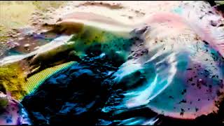 Closed Circuit Kaitlyn Aurelia Smith